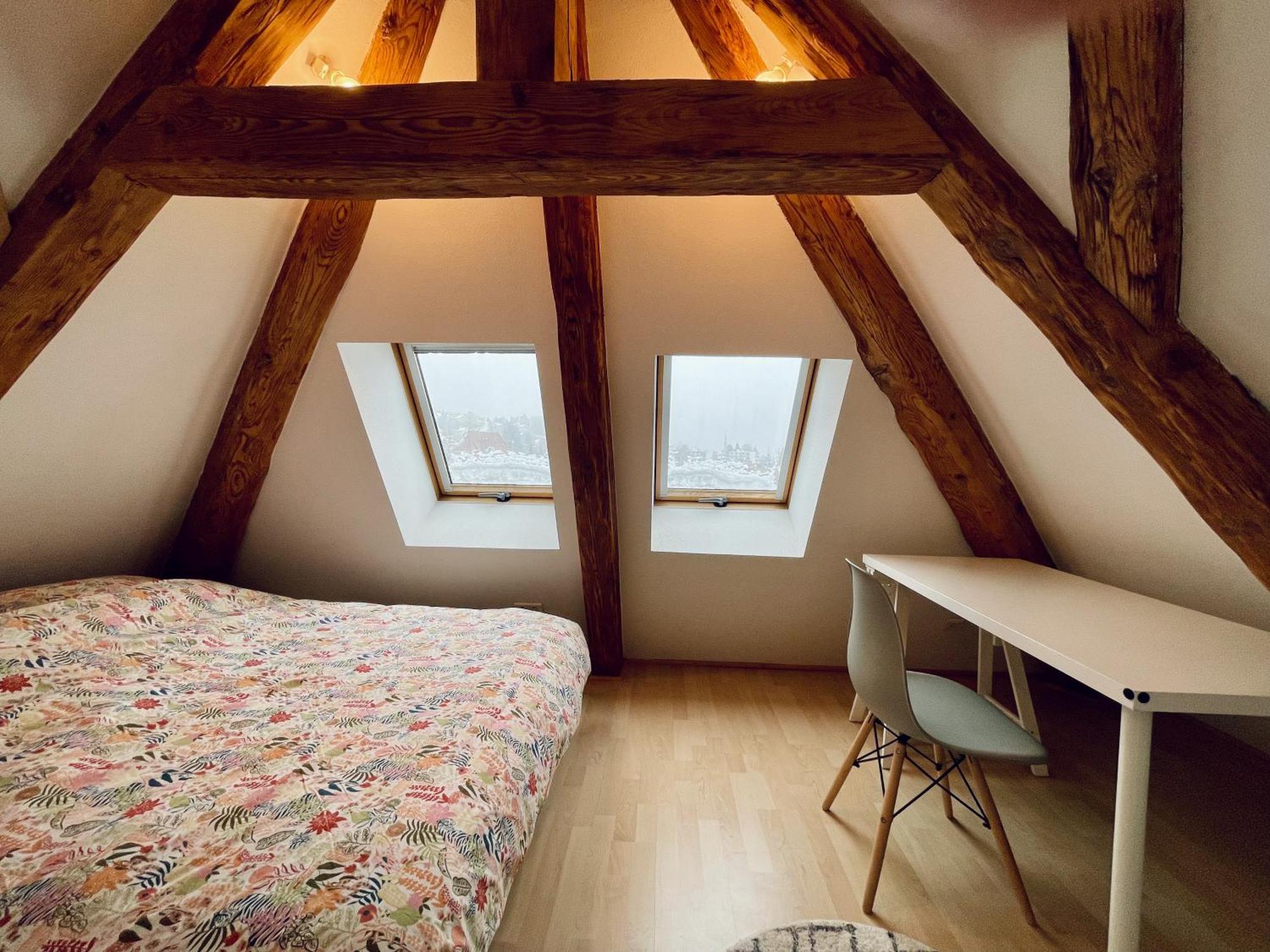 Duplex + Parking Gratuit Facile Apartment Sainte-Suzanne  Екстериор снимка