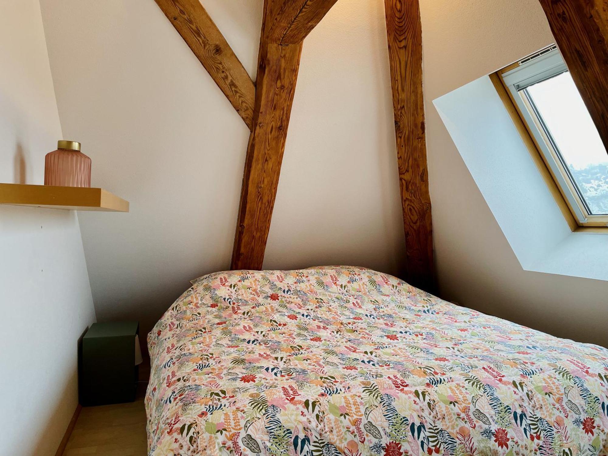 Duplex + Parking Gratuit Facile Apartment Sainte-Suzanne  Екстериор снимка